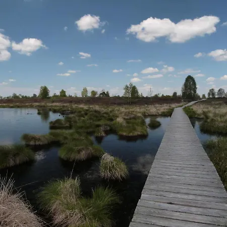 Frühstückspension La Pacha, D'hotes
