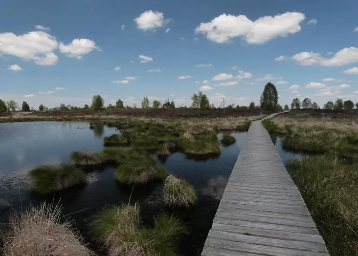 Frühstückspension La Pacha, D'hotes